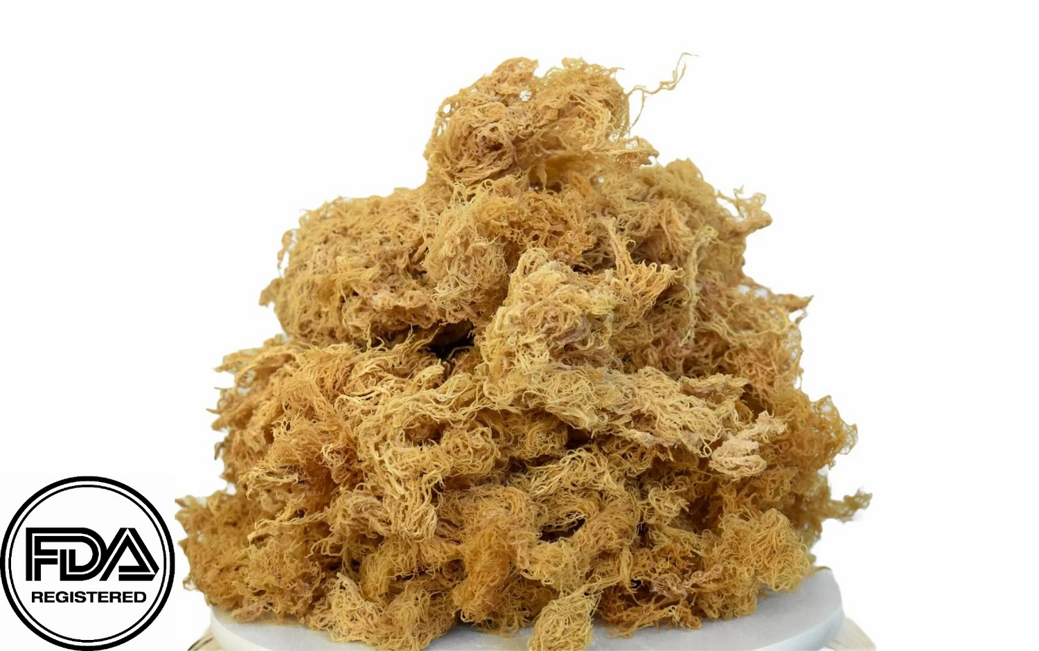 Bulk Sea Moss